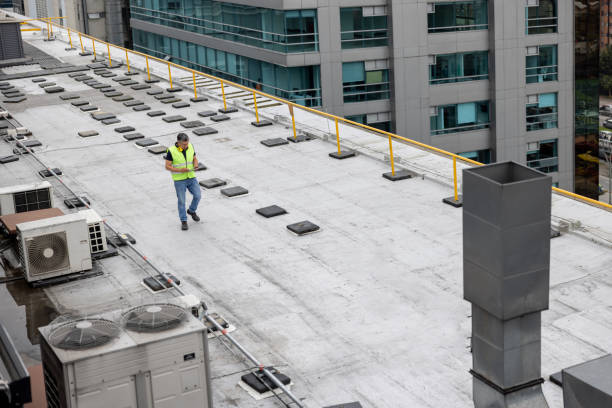 Best Sheet Metal Roofing  in Surgoinsville, TN